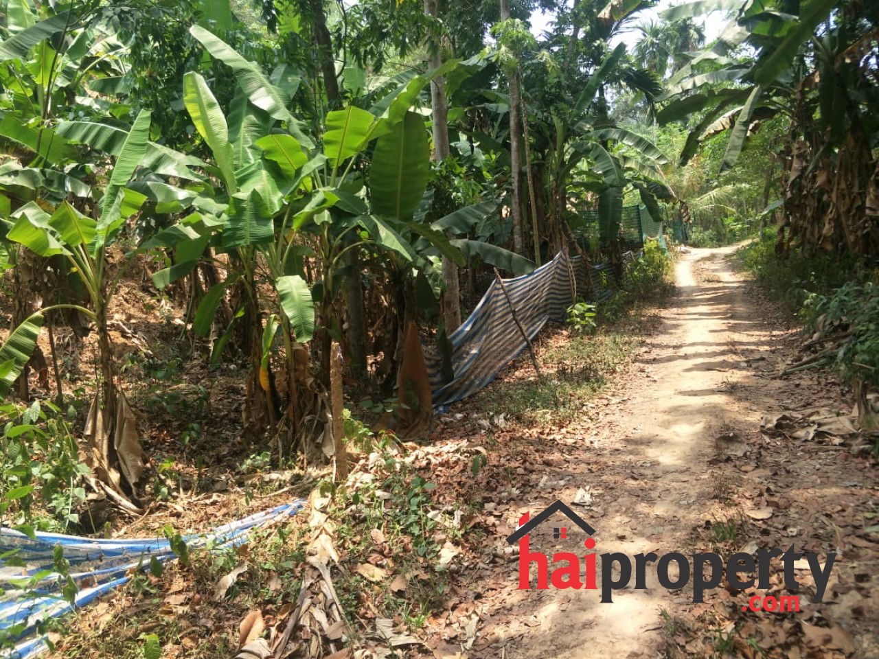 PLOT FOR SALE IN VATTAPPARA Technopark Classifieds